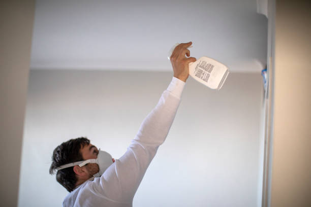 Best Emergency Mold Removal  in Sarand, AL