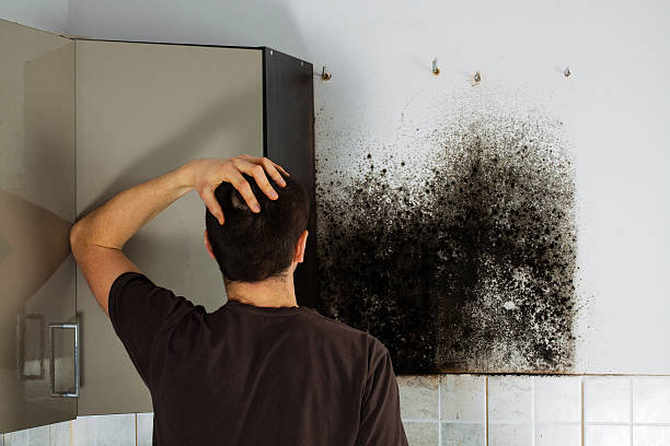 Best Mold Cleaning Services  in Sarand, AL