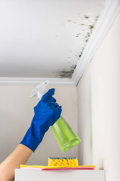 Best Residential Mold Removal  in Sarand, AL